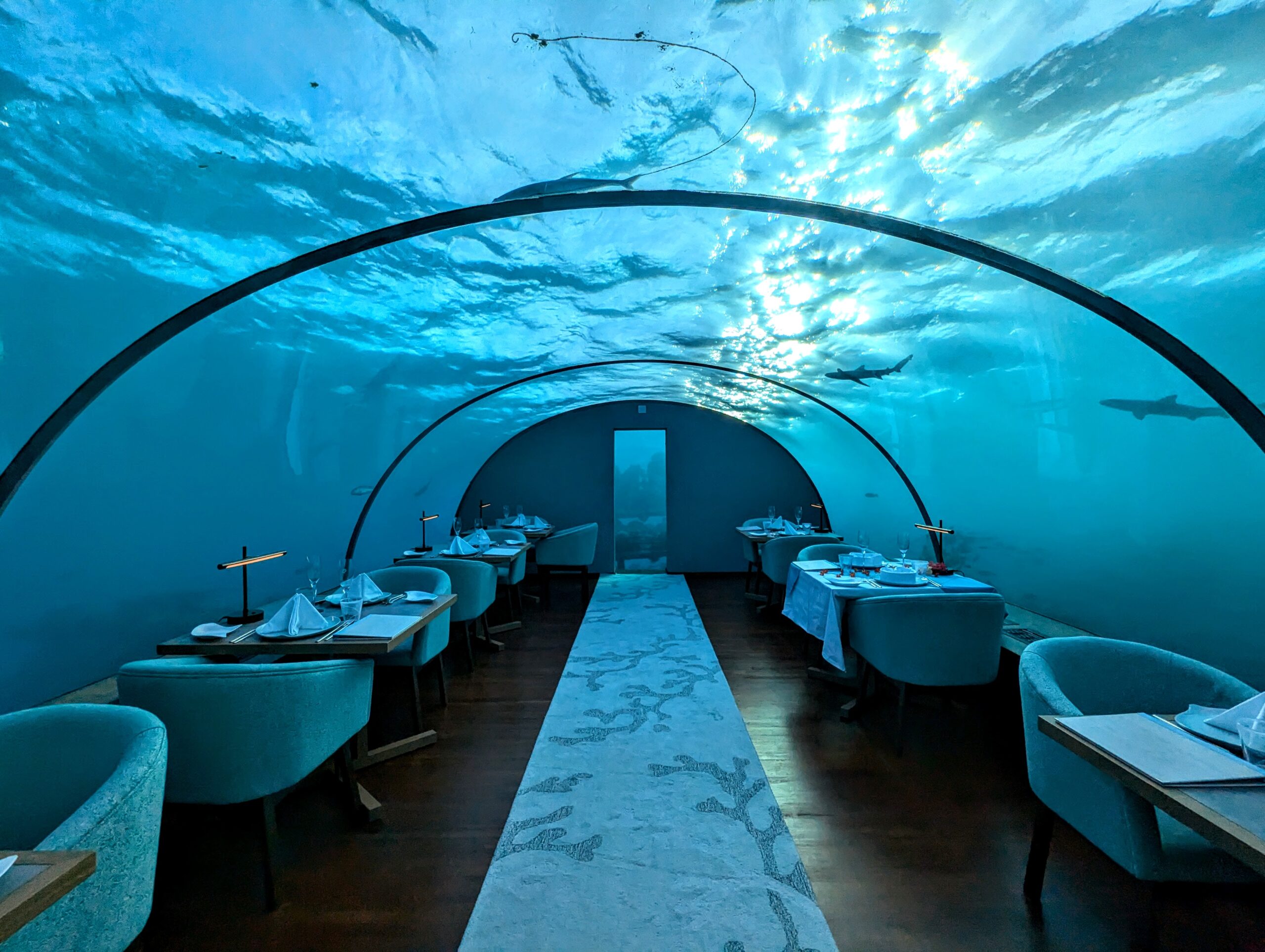 This image captures a real underwater restaurant enclosed within a transparent, curved tunnel, allowing diners to be fully immersed in the ocean environment. The serene atmosphere is enhanced by natural light filtering through the water, casting mesmerizing patterns on the interior. Sharks and other marine creatures swim gracefully above, providing a breathtaking view. The interior features elegant, minimalist furnishings, ensuring a luxurious yet calming dining experience in perfect harmony with nature. - Nolita Harbour