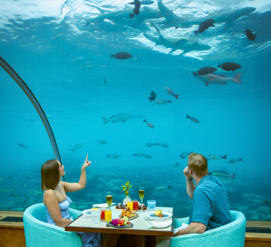 Ithaa Undersea Restaurant - Nolita Harbour