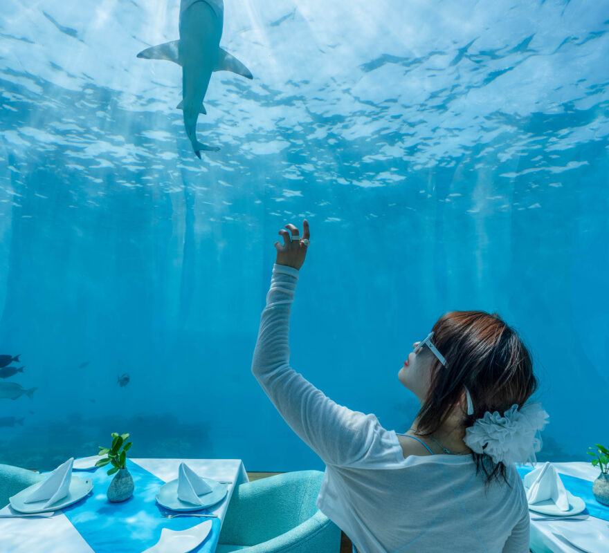 Ithaa Undersea Restaurant - Nolita Harbour