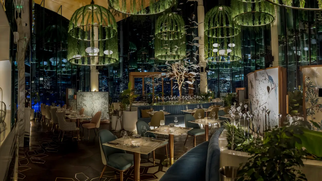 Luxury Dining in Doha - Nolita Harbour