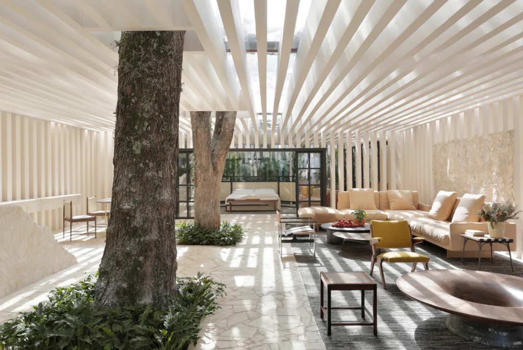 Biophilic interior design integrating mature trees within a light-filled living space for continuous indoor outdoor flow